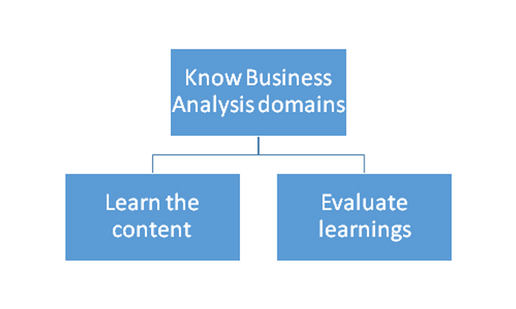 Business-analysis-domains
